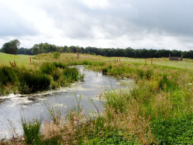 natuur golfbaan het woold