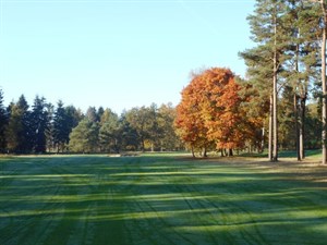 Golfbaan De Hoge KLeij
