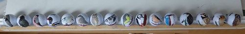 birdie bal prijs golf