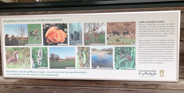 Geo certificering groene ster golfclub 