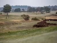 Heelsumse golfbaan 9 redenen om in te zetten op duurzaamheid en GEO