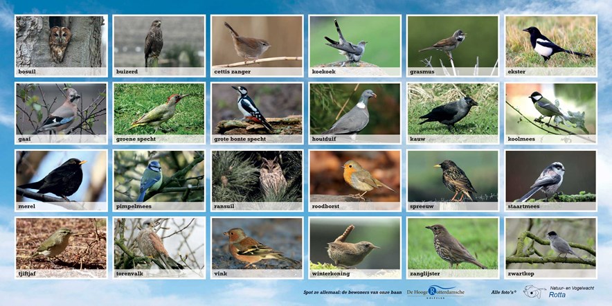 een overzicht van de meest voorkomende vogels op Golfbaan De Hooge Rotterdamsche