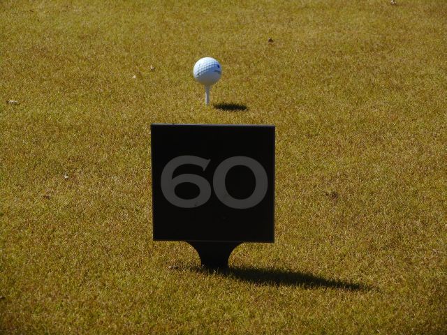 golf bal op tee