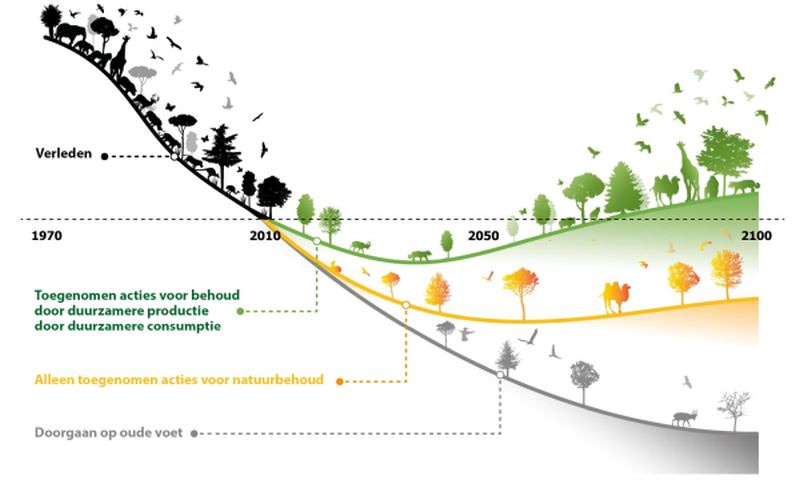 Afname van biodiversiteit