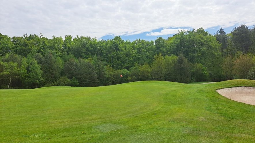 Bosrand op Golfbaan Gaasterland