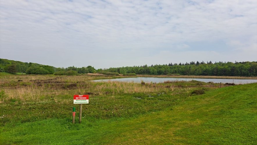 Natuurgebied op Golfbaan Gaasterland