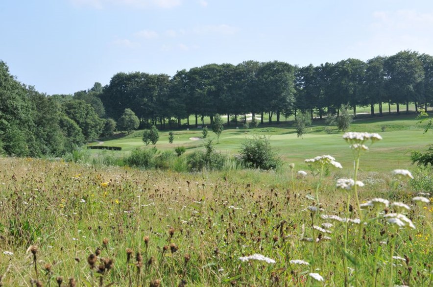 Graslanden op golfbaan