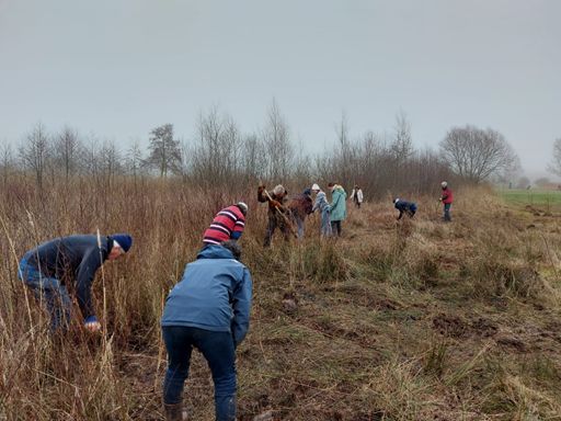 Golfclub Zwolle Meer bomen nu actie