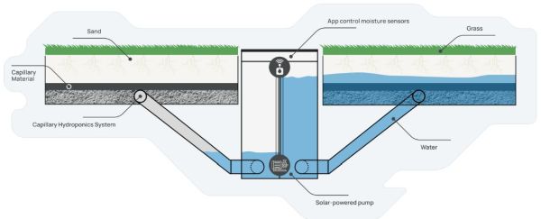 capillary hydroponics