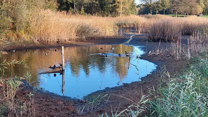 Beregeningsvijver op Golfclub ‘t Zelle 