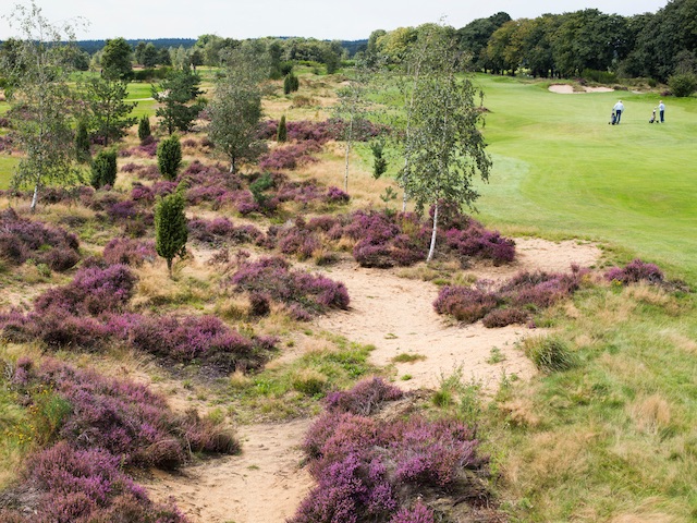 duurzaam beheer management