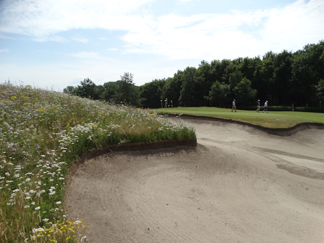 biodiversiteit golfbanen