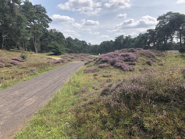 de pan heide golfbaan