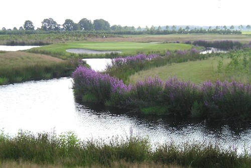 Drentsche golfbaan