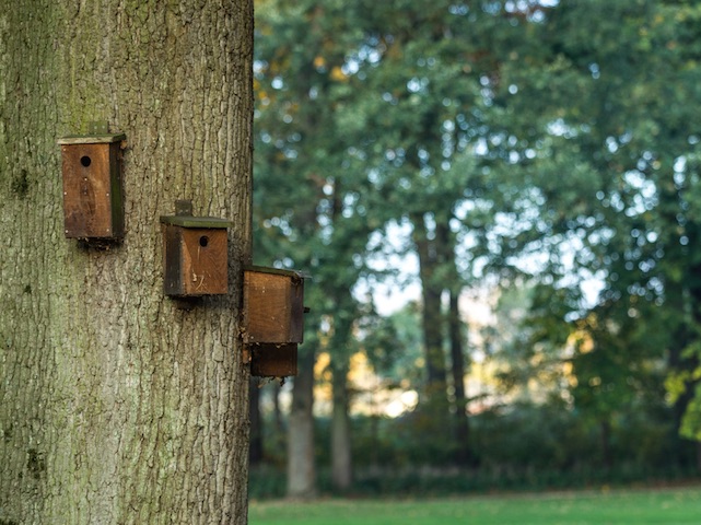 vogelhuisjes op golfbaan
