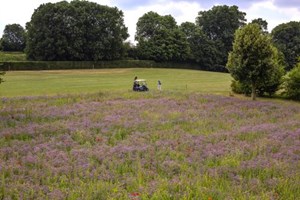 Het Rijk golfbanen