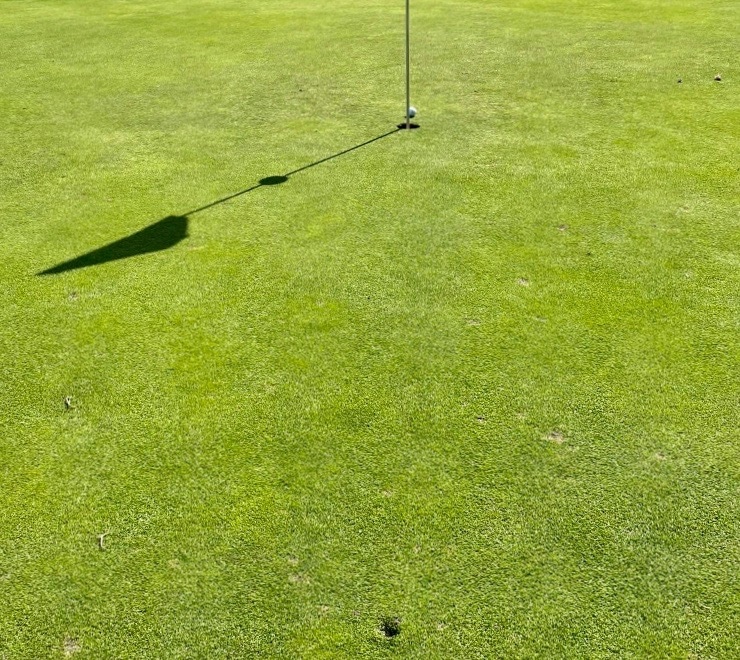golfbal backspin hole vlag