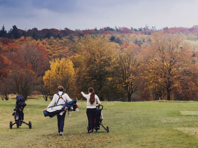 golf wedstrijden en spelvormen