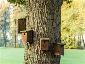 De Haar Players 1st activiteitenkalender