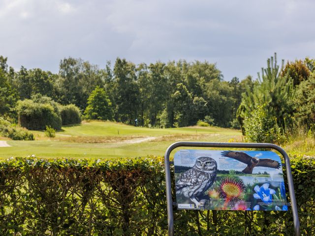 Vogels op Golfbaan Princenbosch