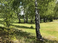 Golfers op golfbaan