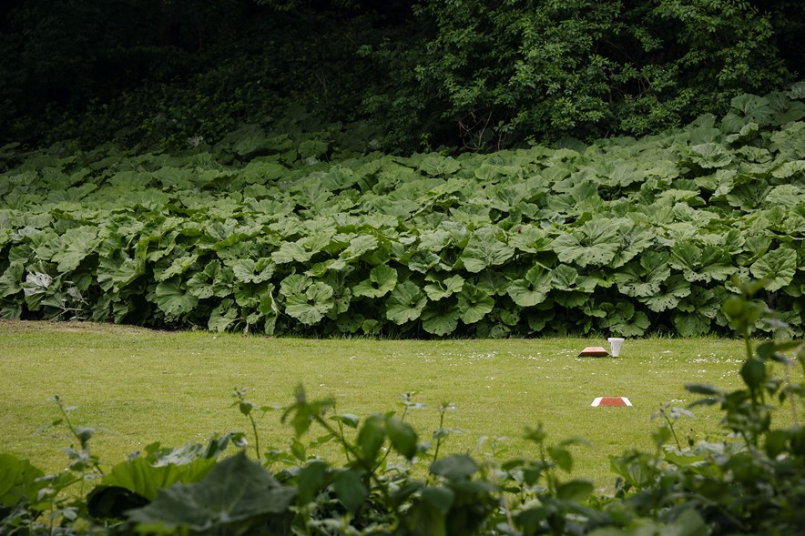 Natuur op de golfbaan