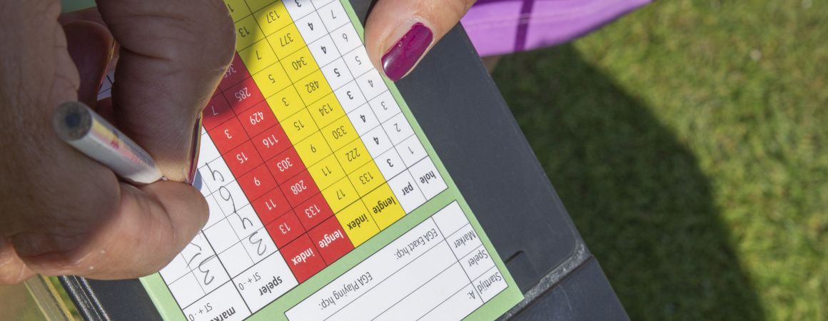 Informatie voor handicapcommissies over het handicapsysteem in golf  NGF