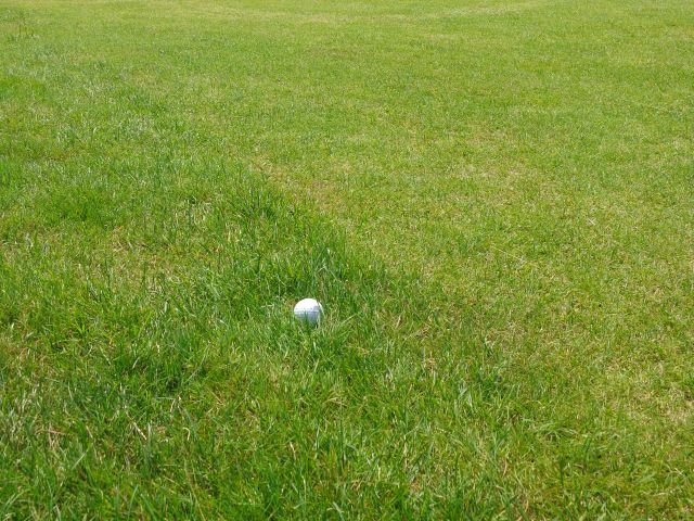 amateurstatus regels ngf